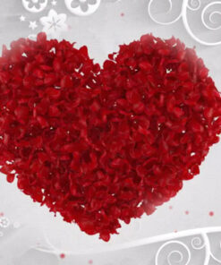 My Heart Beats 4 U - Rose Wedding Invite
