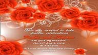 Gorgeous Red : A Red Themed Video With Roses | ID: 11122