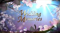 Classical Animated Wedding Save The Date Video