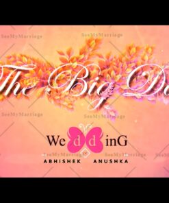 Rainbow Colors Background With Pics Animation Style Wedding Invite Video