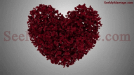 Filled With Love - Beautiful Rose Petals Falling Red Theme Photo Slideshow Modern Wedding Invitation Video