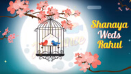 Story Of Love Birds - Beautiful Moon, Sky, Stars, Flowers Falling Trees Animated Unique Modern Wedding Save The Date Video