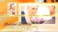 Beautiful, Elegant Golden Theme Photo Slideshow Wedding Anniversary Save The Date Video