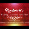 Baby Naming Ceremony Pink Theme Traditional Invitation With Falling Rose Petals In Background | ID: 11552