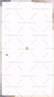 Ink Reveal Virtual Western Wedding Invitation Gif