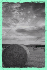 Australian Valley Wedding Save The Date Gif | ID: 11705