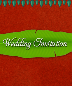 Red Theme Indian Cartoon Couple Animated Traditional Wedding Invite Video