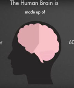 Infographic Educational Explainer Video About Human Organs With Stickman Animation