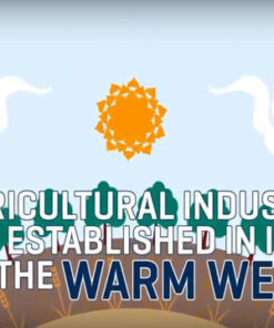 Population Statistics Infographic Educational Explainer Video With 2D Motion Graphics Animation