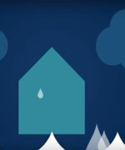 Insurance Services Infographic Explainer Advertisement Video