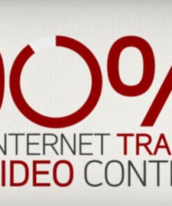 Public Survey Animated Infographic Statistics Video About Online Videos