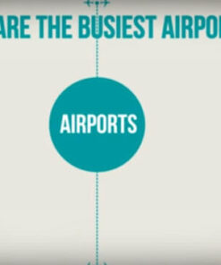 Infographic Statistics Explainer Video For Government or Private Services