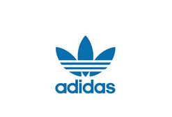 Infographic Style Logo Reveal Video For Brands