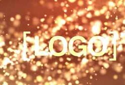 Sparkle Theme Motion Graphics Logo Reveal Video For Businesses