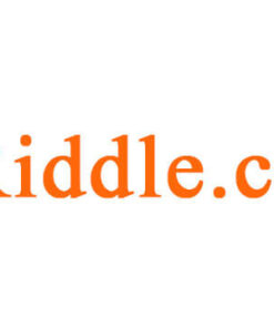 VRiddle Ad Video Service for Businesses and Individuals