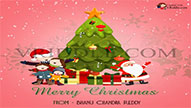 Create A Pink Theme Happy Christmas Greeting Wishes Video