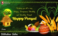 Green Theme Happy Pongal Greeting Wishes Video