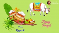 Happy Happy Pongal Greeting Wishes Video