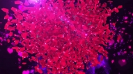 Happy Valentine’s Day Memories Greeting Wishes Video
