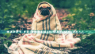 Colorful Glitch Animated Friendship Day Image Slideshow with Quotes