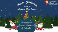 Santa Gift Box Opening Greetings for Christmas and New Year