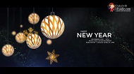 Christmas New Years Party Invitation