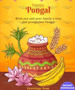 Creative Pongal Festival Greeting Card