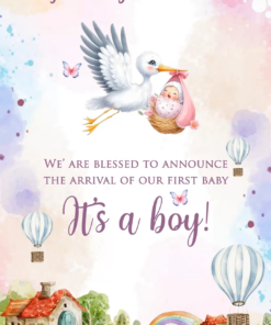 Butterfly and Crane Theme watercolor Baby Announcement Video Invite