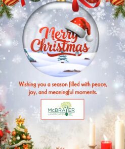 Snow Globe Ornament Corporate Christmas Greeting Video with Santa Decor